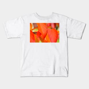 orange leaves Kids T-Shirt